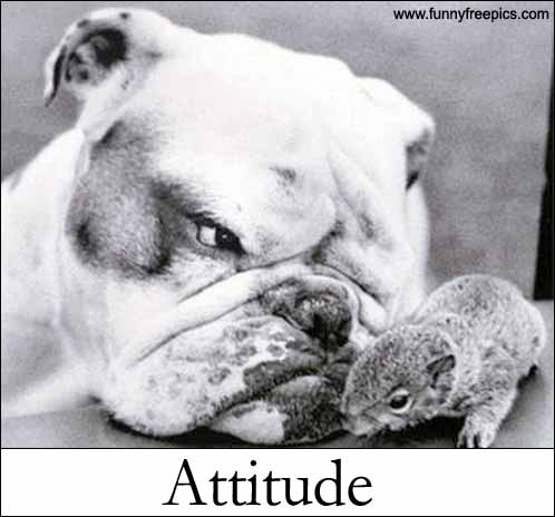 attitude.jpg